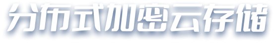 分布式加密存储
